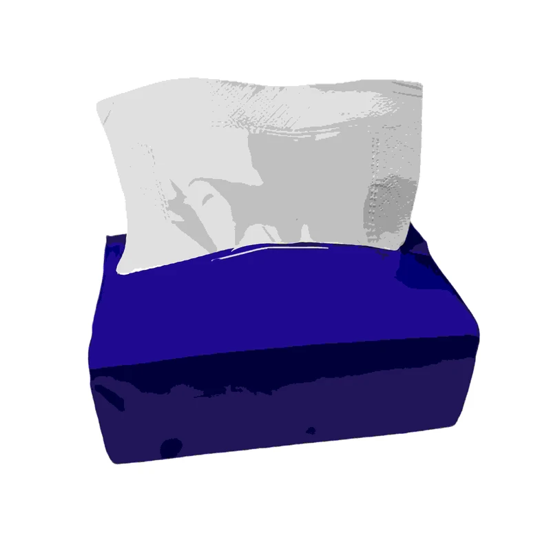 Customized Luxury Facial Tissues Eco-Friendly 2 Ply Box with Antibacterial Protection