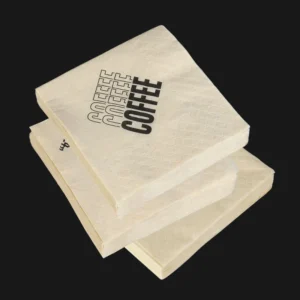 Eco Friendly 2 Ply Virgin Wood Pulp Paper Napkins Serviettes for Restaurants Hotels Bars Cafes Recyclable Colored Logo