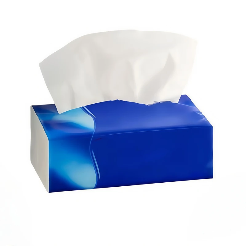 Boîte de mouchoirs premium personnalisée imprimée, écologique
